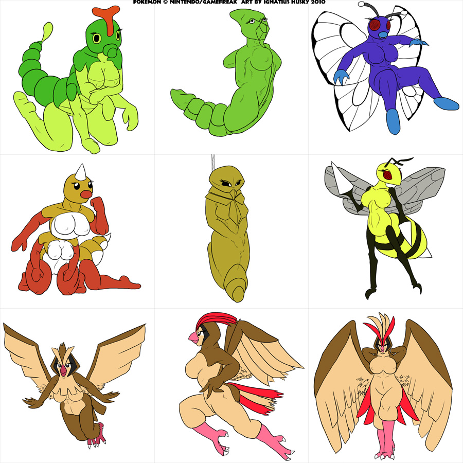 The Iggydex page 2 full