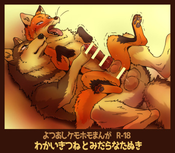 (Kansai! Kemoket 4) [Maririn] Tanuki × Kitsune cover