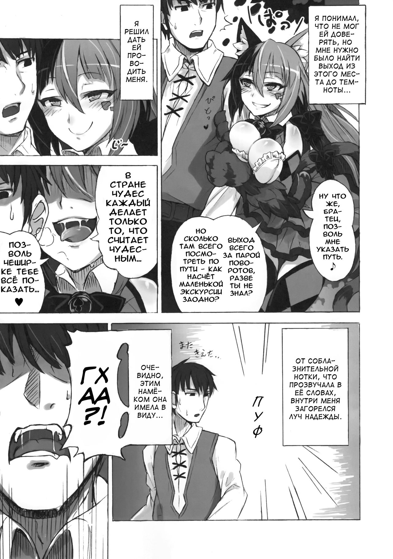 Mamono Musume Zukan Higai Houkoku ~Cheshire Neko no Oidemase Fushigi no Kuni~ | Энциклопедия девушек-монстров. Отчёт о нанесённом ущербе ~Чеширский приём в Страну чудес~ page 5 full