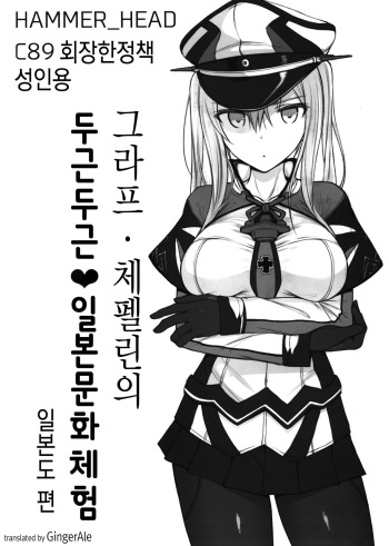 (C89) [HAMMER_HEAD (Makabe Gorou)] Graf Zeppelin no Wakuwaku Nihon Bunka Taiken (Kantai Collection -KanColle-) [Korean] [GingerAle] cover