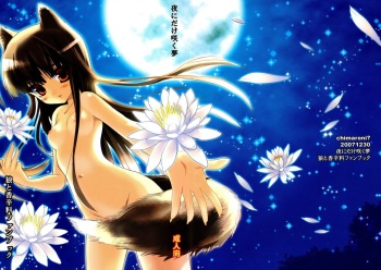 (C73) [Chimaroni? (Chimaro)] Yoru ni Dake Saku Yume (Spice and Wolf) cover