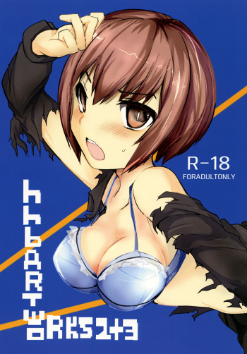 [/￥] hhb_Artworks 2+3 (Devil Survivor 2) [Digital] cover