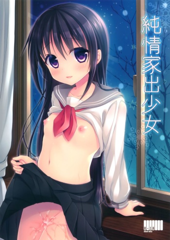 (C89) [Tamakakeya (Tamakake)] Junjou Iede Shoujo cover