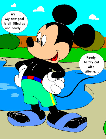 Mickey's Pool cover