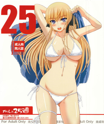 [Shiawase Kyouwakoku (Shiawase no Katachi)] Katashibu 25-shuu [Russian] [BLANDR] cover