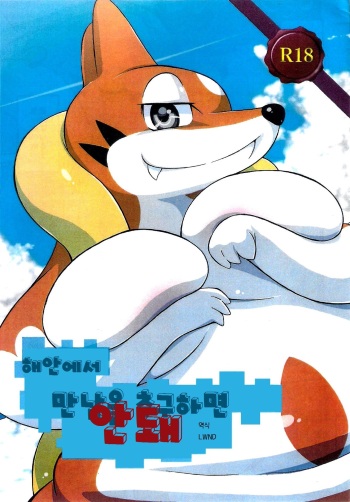 (Kemoket 4) [Two Tone Color (Korurun)] Kaigan ni Deai o Motomeru no wa Machigai (Pokémon X and Y) [Korean] [LWND] cover