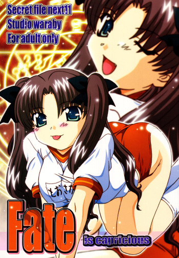(C67) [Studio Wallaby (Takana Yu-ki)] SECRET FILE NEXT 11 - Fate is capricious (Fate/stay night) [English] [CGrascal] cover