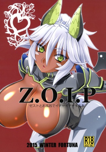 (C89) [FORTUNA (Kojiro Izuta)] Z.O.I.P (Shinmai Maou no Testament) cover