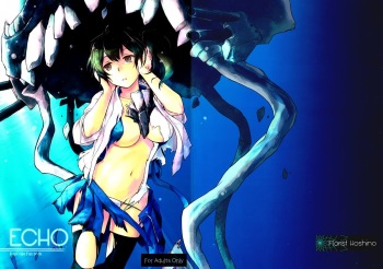 (Ware, Yasen ni Totsunyuu su! 2) [Hoshino Seikaten (Hoshino Ichiyoru)] Echo (Kantai Collection -KanColle-) cover