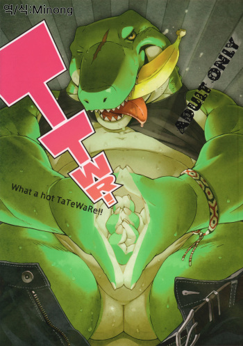 (C83) [Dragon Heart (Various)] TTWR! [Korean] cover