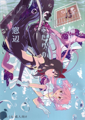 (C90) [Nedaore (Ayane)] Rinshousuru Futari no Madobe (Puella Magi Madoka☆Magica) cover