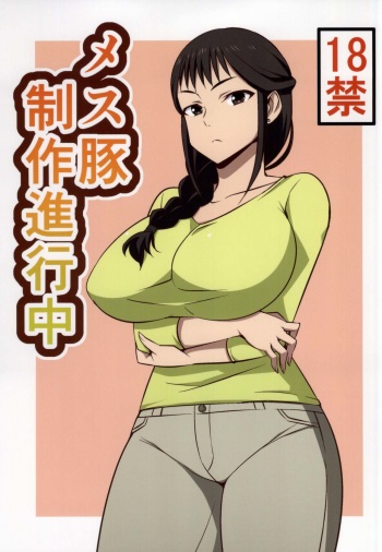 (COMIC1☆9) [Mattari House (Aitsu)] Mesu Buta Seisaku Shinkouchuu (SHIROBAKO) [Korean] [천센] cover
