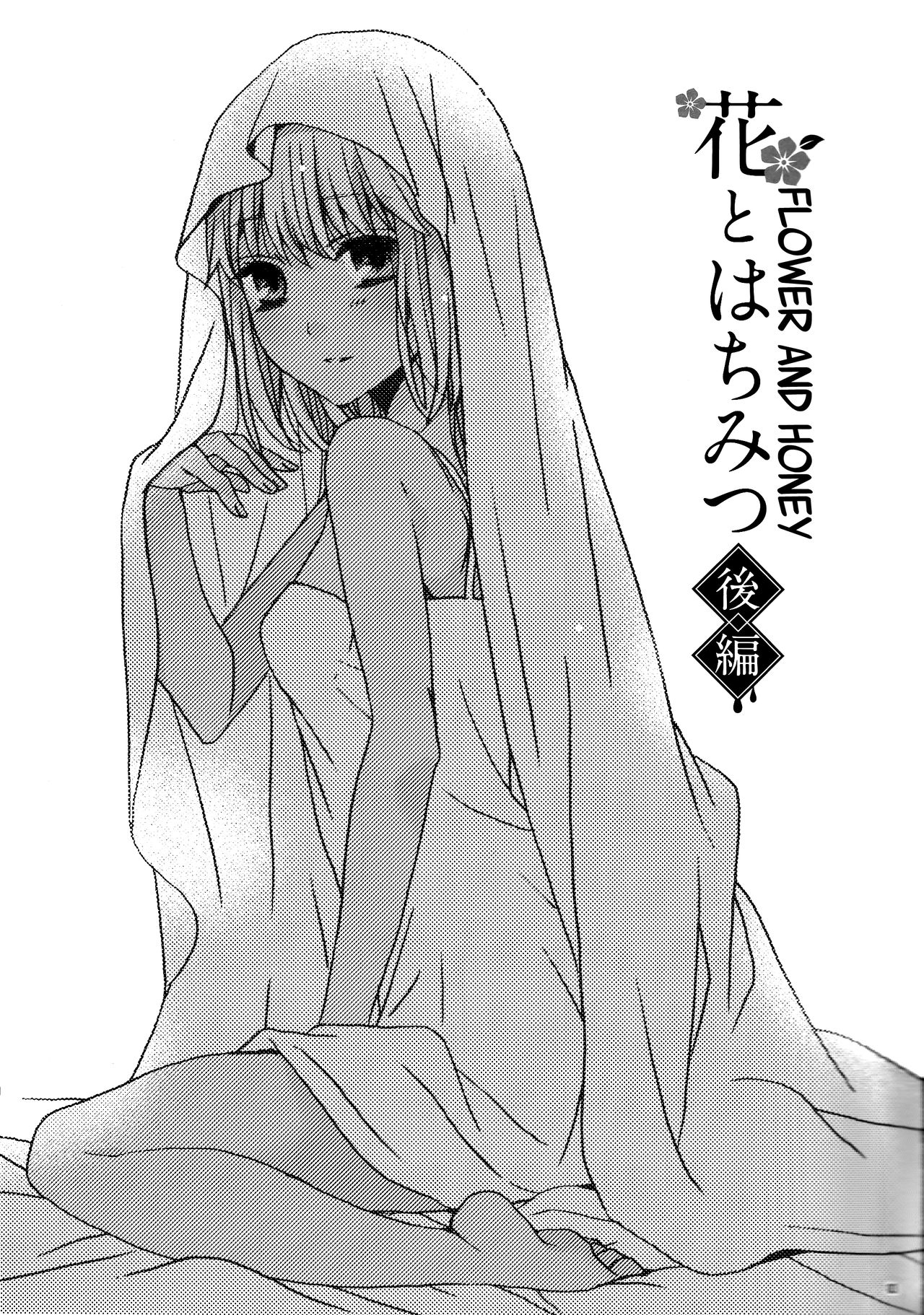 Hana to Hachimitsu Kouhen page 3 full