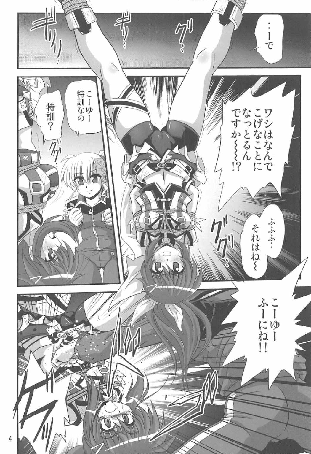 Storage Bind 5 page 3 full