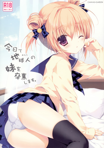 (C87) [CANVAS+GARDEN (Miyasaka Miyu)] Kyou de Chikyuujin no Imouto o Sotsugyou Shimasu. [English] {XSA} cover