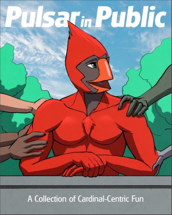 Pulsar In Public cover