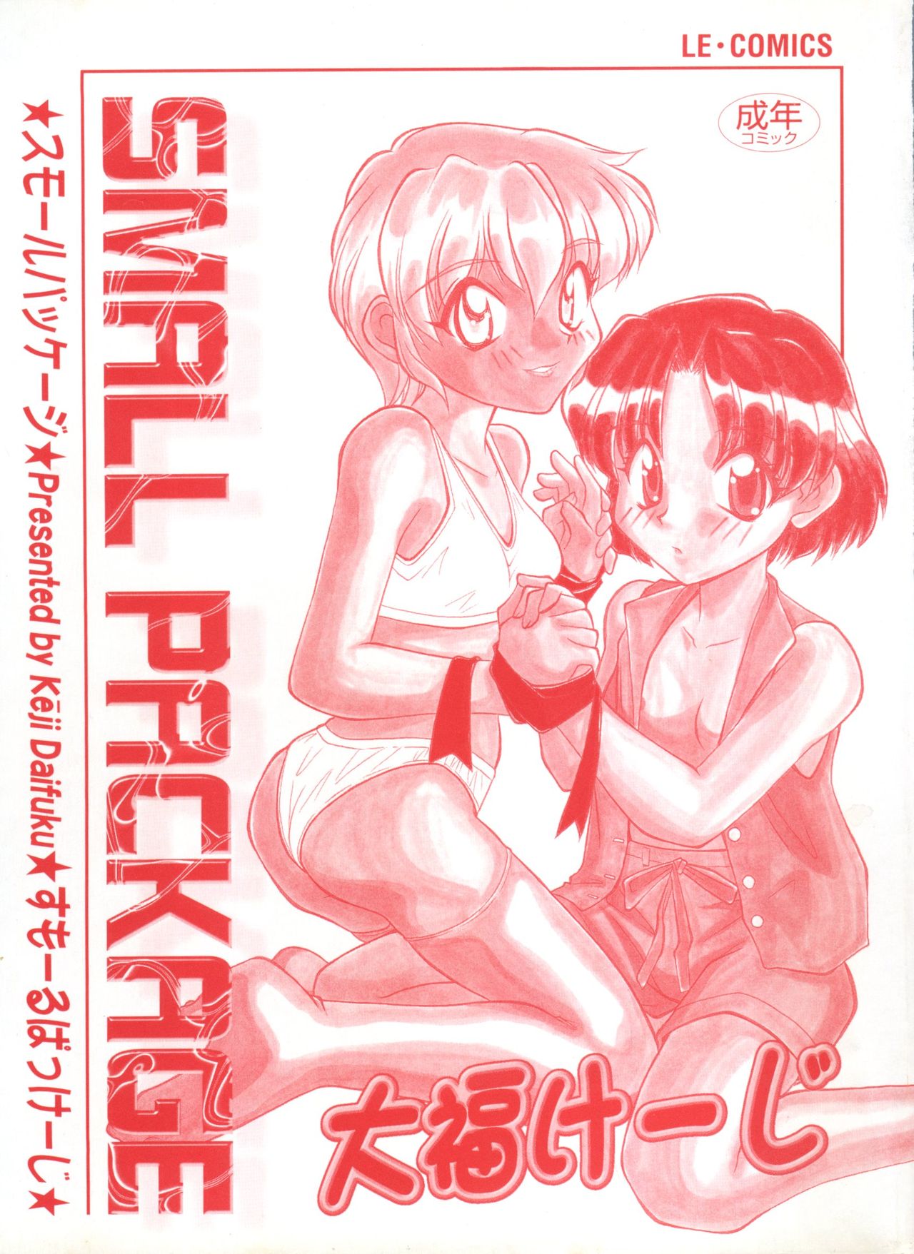 Small Package page 4 full