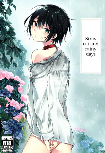 (COMITIA117) [Aoiro Ichiza (Aoiro Ichigou)] Nora Neko to Rainy Days [English] {Shotachan} cover