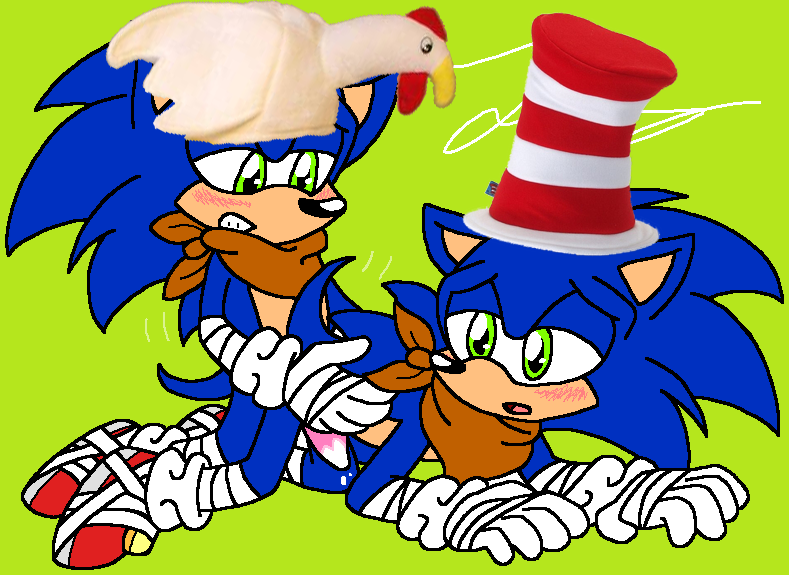 gay sonic porn with hats on page 11 full
