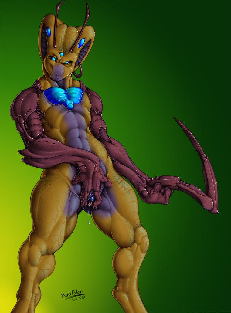 Artist - Madpolar page 9 full