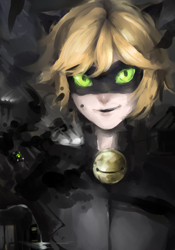 Cat Noir/Chat Noir/Adrien Agreste page 5 full