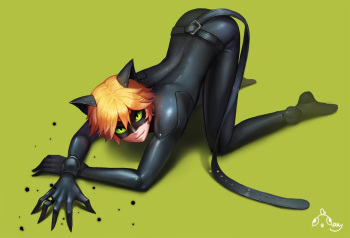 Cat Noir/Chat Noir/Adrien Agreste (Miraculous Ladybug) cover