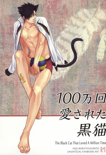 (Kuroneko Sanmai) [Takamachi (Zenra)] 100-mankai Aisareta Kuroneko (Haikyuu!!) cover