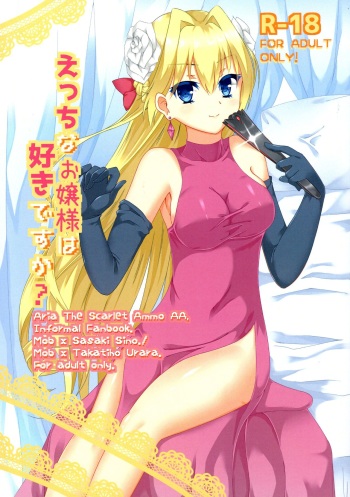 [W-ROOM (Huyukiti)] Ecchi na Ojou-sama wa suki desu ka? (Hidan no Aria) cover