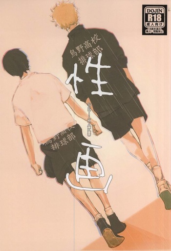 (RTS!!5) [trip out (Youjin)] Sei-Kaku (Haikyuu!!) cover