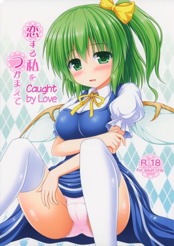 (Shuuki Reitaisai 2) [I'm (Matsubayashi Nagana)] Koisuru Watashi o Tsukamaete | Caught by Love (Touhou Project) [English] {Hennojin} cover