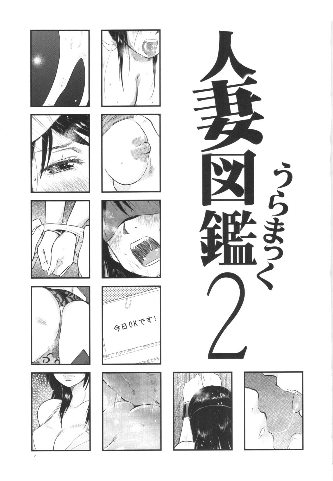 Hitozuma Zukan 2 page 3 full