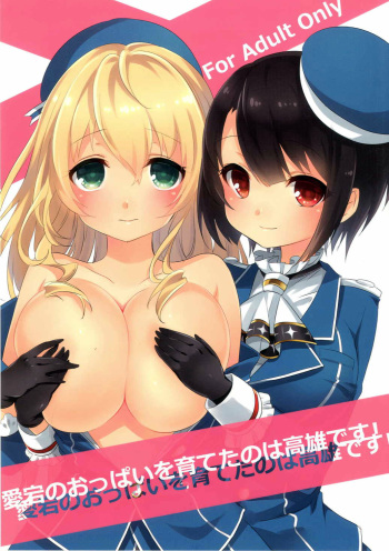 (COMIC1☆9) [Zuwaigani Beam (Awata Mokane)] Atago no Oppai o Sodateta no wa Takao Desu! (Kantai Collection -KanColle-) cover