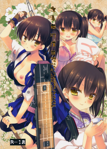 (C88) [D.N.A.Lab. (Miyasu Risa)] Aisaika no Kyuujitsu (Kantai Collection -KanColle-) cover