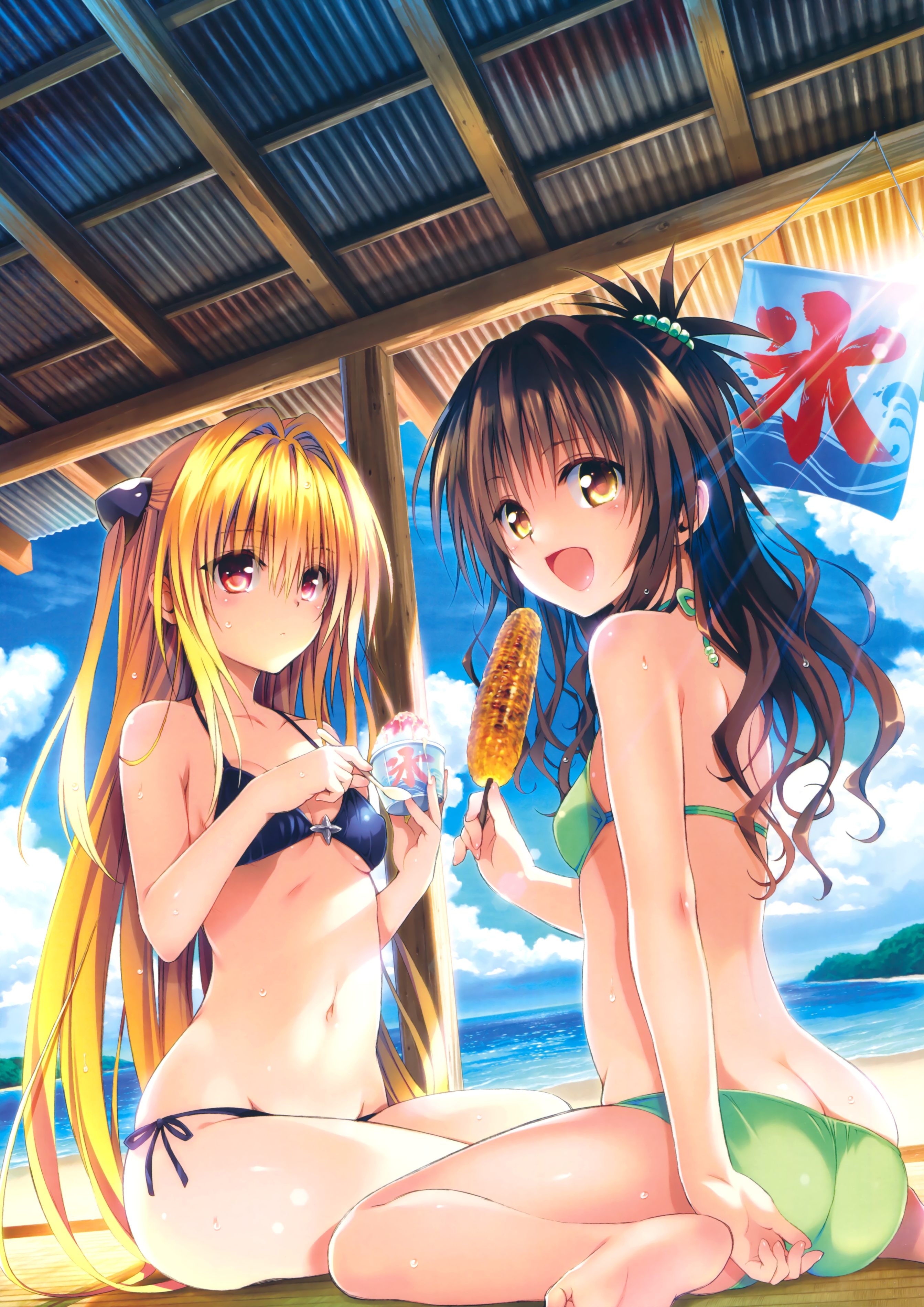 Harem Gold page 12 full