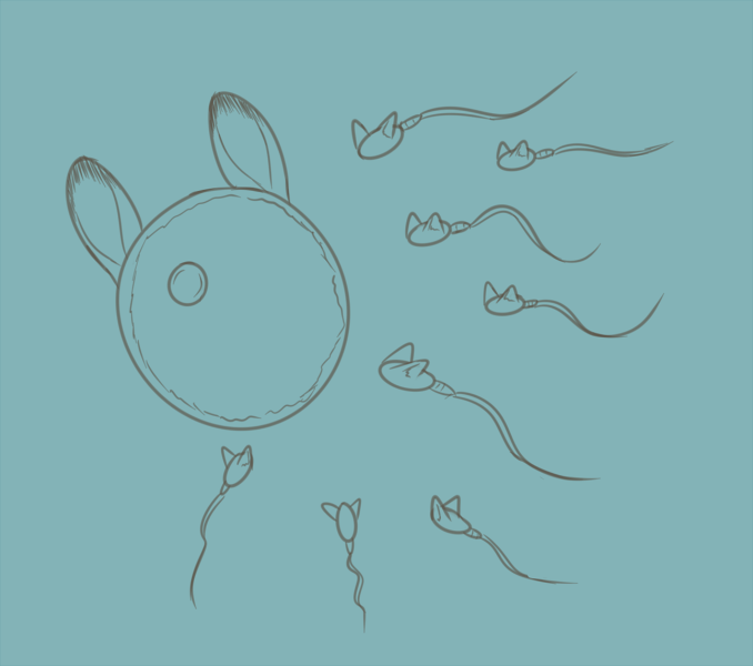 Foxes Can't Get Rabbits Pregnant page 4 full