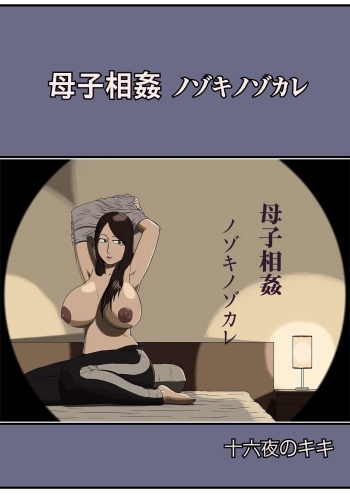 [Izayoi no Kiki] Boshi Soukan Nozokinozokare cover