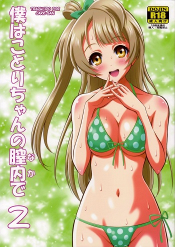 (C84) [GUST (Harukaze Soyogu)] Boku wa Kotori-Chan no Naka de 2 (Love Live!) [Spanish] [Cark-San] cover