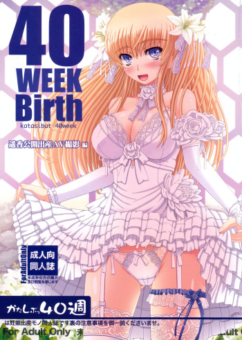 (C88) [Shiawase Kyouwakoku (Shiawase no Katachi)] Katashibu 40-shuu + Kaijou Genteibon cover