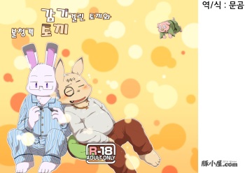 (C87) [butagoya dot com (Noruriri)] Kazehiki Usagi to Oshikake Usagi [Korean] [Digital] cover