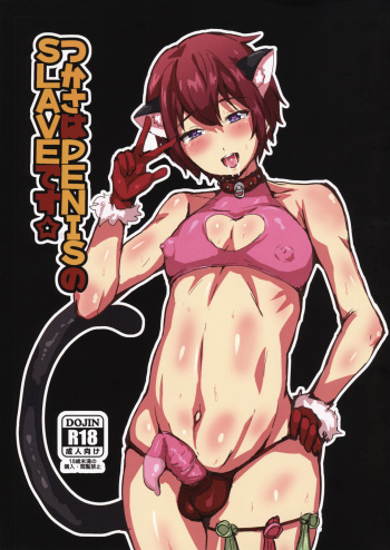 (Futaket 11.5) [Ani ga Saru (Takashi)] Tsukasa wa PENIS no SLAVE desu (Ensemble Stars!) cover