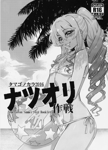 (C90) [Tamago no Kara (Shiroo)] -Operation Summer Fold Booklet- cover