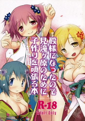 (C87) [Tanpopo (Anshin Mama)] Tono-sama ni Natta no de Mitakihara no Tame ni Kozukuri o Ganbaru Hon (Puella Magi Madoka Magica) cover