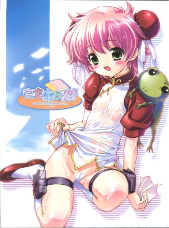 (C66) [Studio Rakkyou (Ashisyun, Takase Yuu)] Kanzen Nenshou 12 (Read or Die) cover