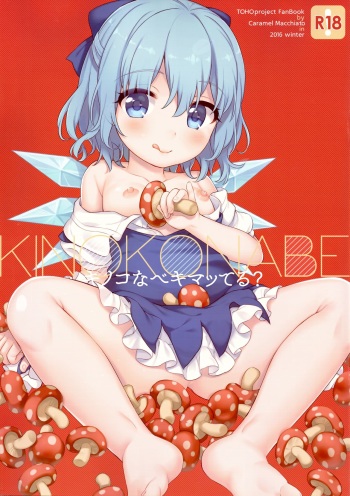 (C91) [Caramel Macchiato (Ma)] Kinokonabe Kimatteru? (Touhou Project) cover
