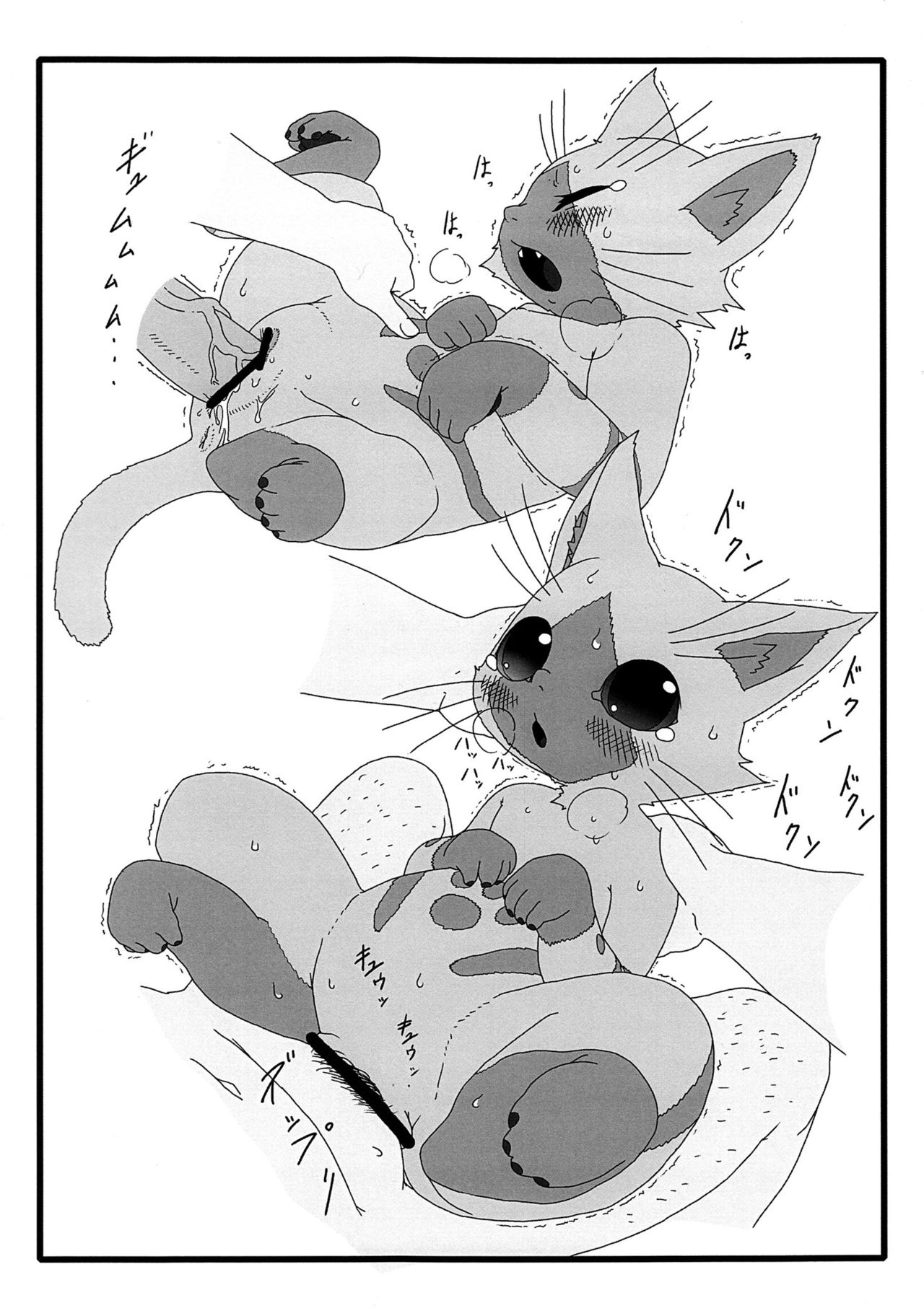 Yoru no Otomo ni Airou o. | 저녁의 처녀 에게 아이루 를. page 12 full