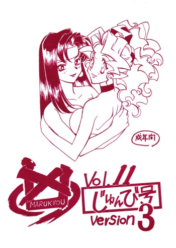 (CR31) [Bible (Ogata Satomi)] Kyouakuteki Shidou Vol. 11 Junbigou Version 3 (Tenchi Muyo!) cover