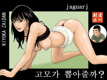 [Kiyokawa Zaidan (Kiyokawa Nijiko)] Oba-chan ga Nuitageyou ka? | 고모가 뽑아줄까? [Korean] [jaguarj] cover