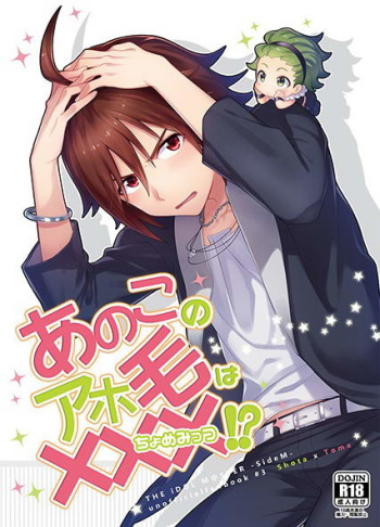 (MIRACLEFESTIV@L!!3) [Danmenz (Kakure)] Ano Kono Aho Ke wa ×××!? (THE IDOLM@STER SideM) cover