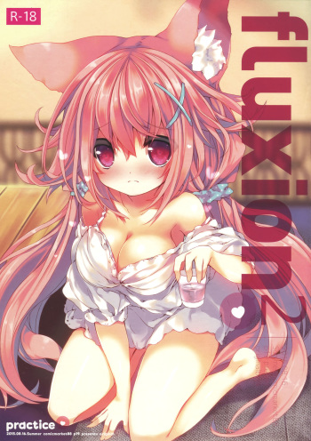 (C88) [practice (p19)] fluxion2 cover