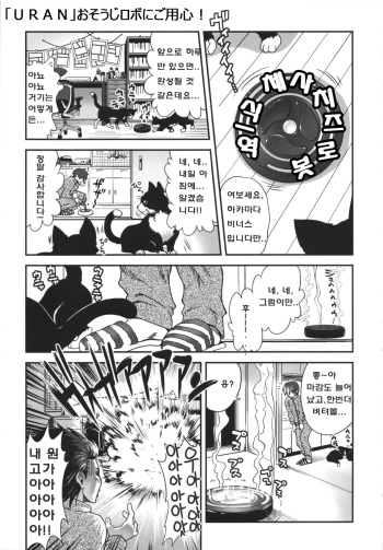 [URAN] Osouji Robot ni Goyoujin!! (Aneki Neko) [Korean] cover